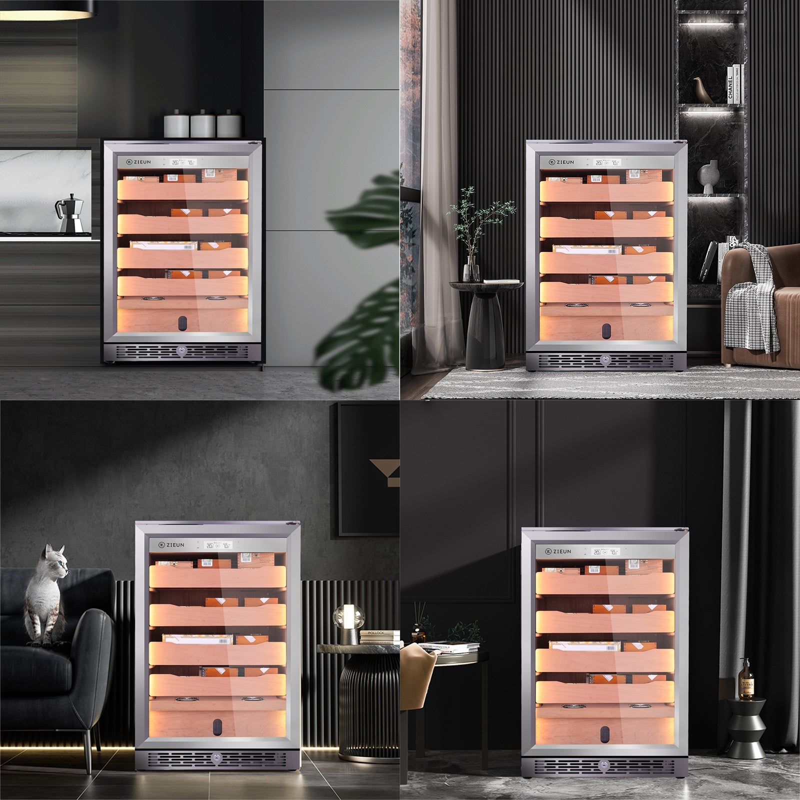 #raching# - #Rachinghumidor#