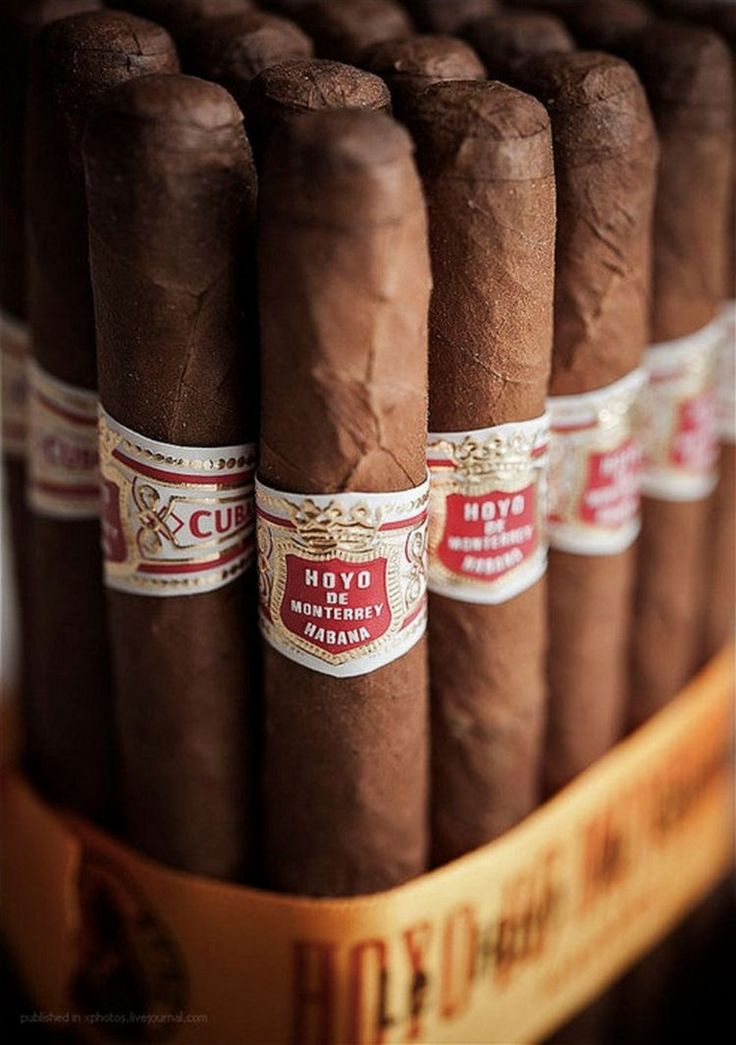 How to choose a good cigar? - RACHING