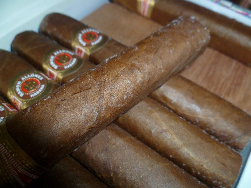 Tips for Preventing Cigar Mold - RACHING