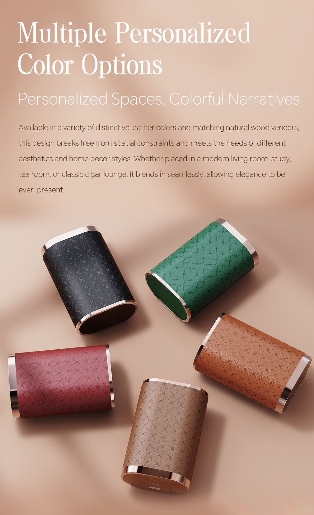 Raching RR cigar humidor box