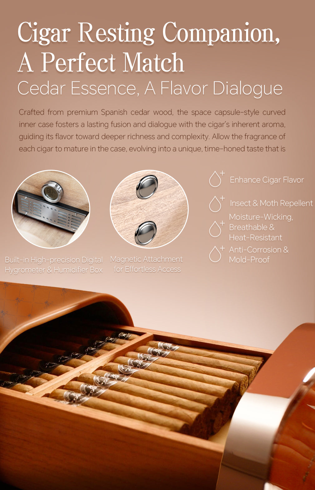 Raching RR cigar humidor box